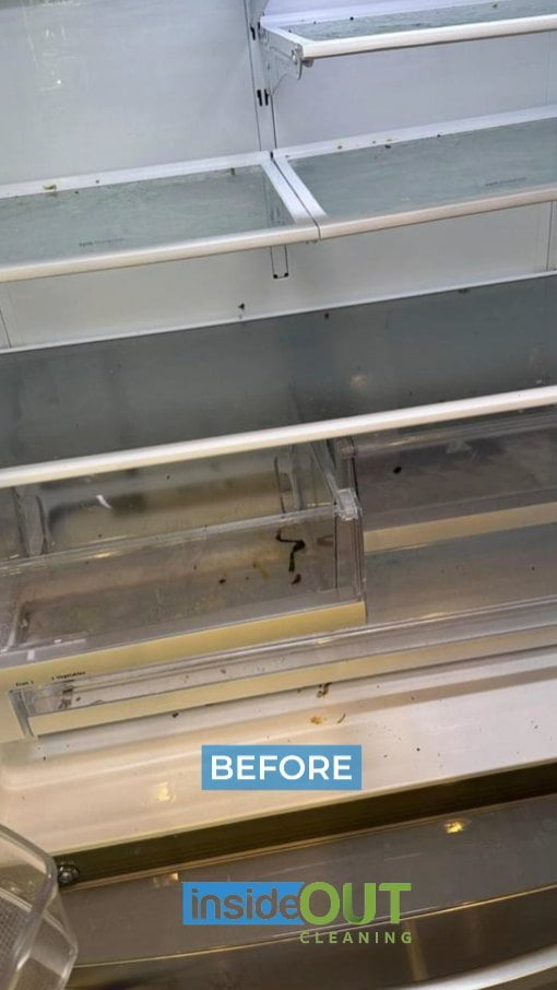 Fridge Cleaning Services